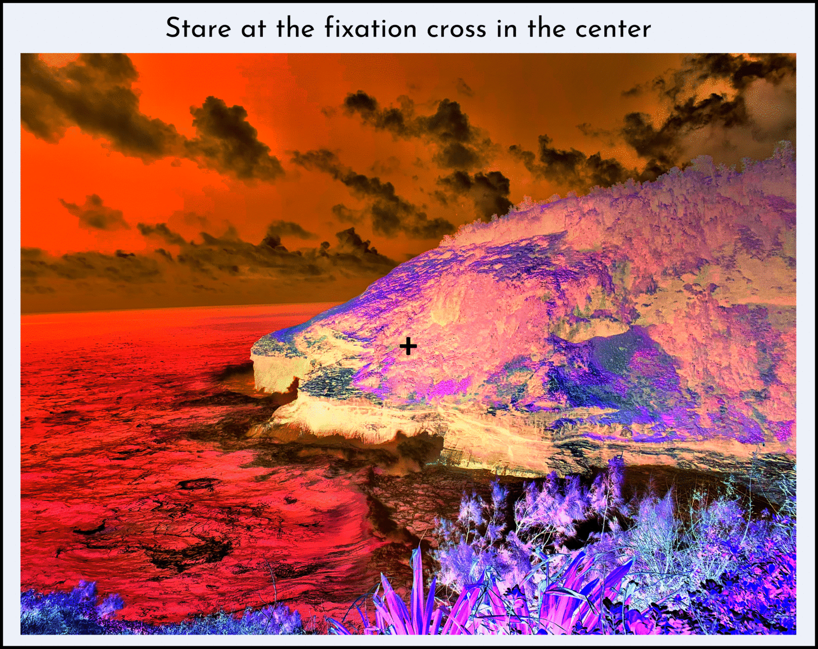 Color adaptation demo
